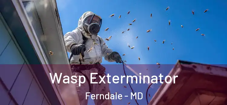 Wasp Exterminator Ferndale - MD