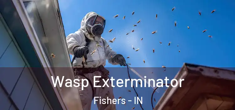  Wasp Exterminator Fishers - IN