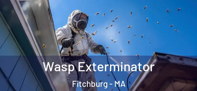  Wasp Exterminator Fitchburg - MA