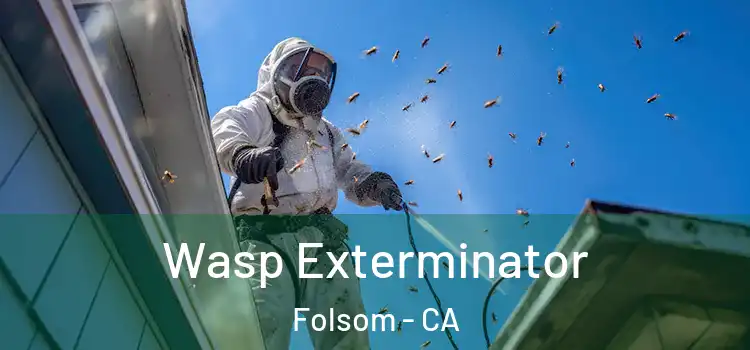 Wasp Exterminator Folsom - CA