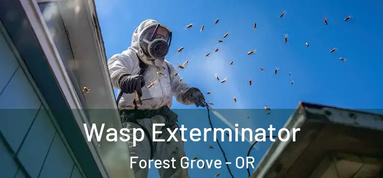  Wasp Exterminator Forest Grove - OR