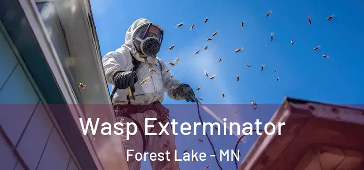  Wasp Exterminator Forest Lake - MN