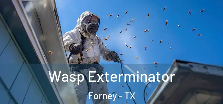Wasp Exterminator Forney - TX