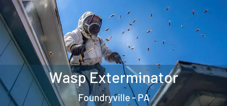  Wasp Exterminator Foundryville - PA