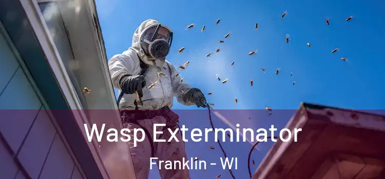  Wasp Exterminator Franklin - WI