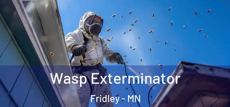 Wasp Exterminator Fridley - MN