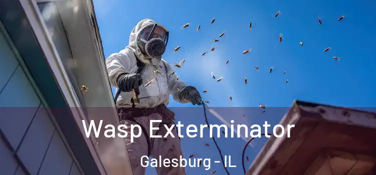Wasp Exterminator Galesburg - IL