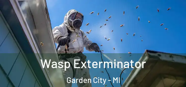  Wasp Exterminator Garden City - MI
