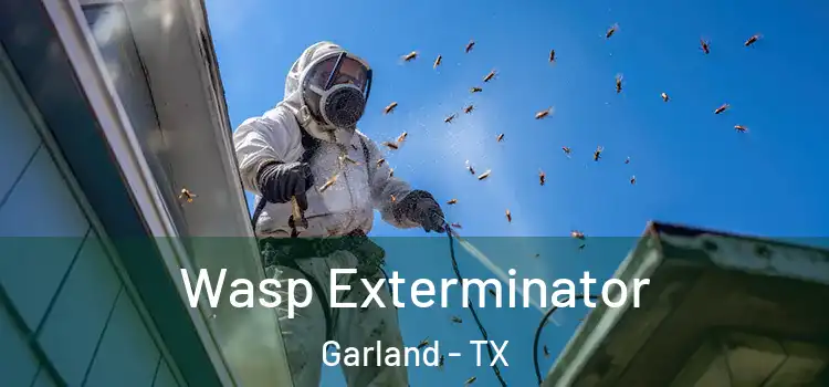 Wasp Exterminator Garland - TX