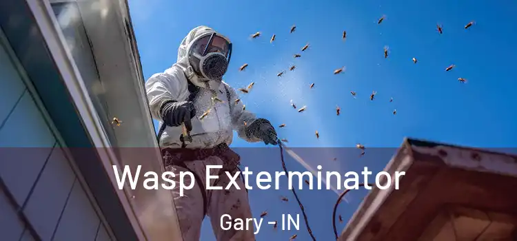  Wasp Exterminator Gary - IN