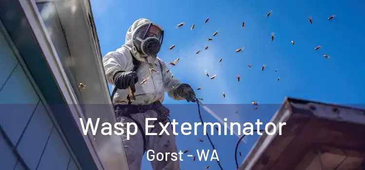 Wasp Exterminator Gorst - WA