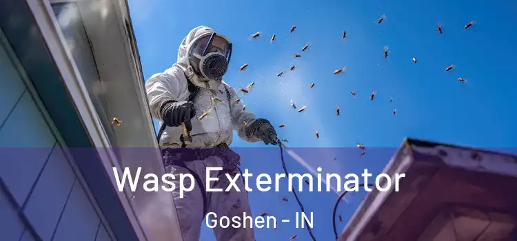  Wasp Exterminator Goshen - IN