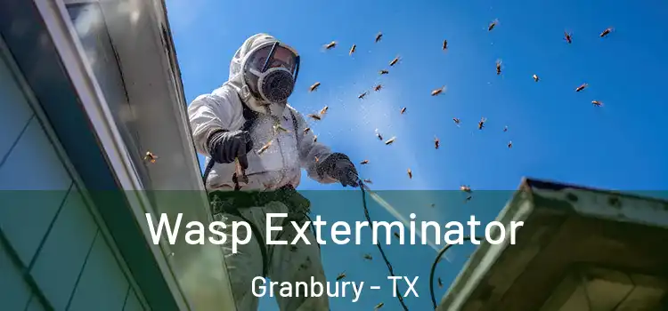 Wasp Exterminator Granbury - TX
