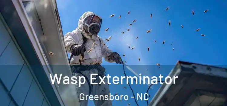 Wasp Exterminator Greensboro - NC