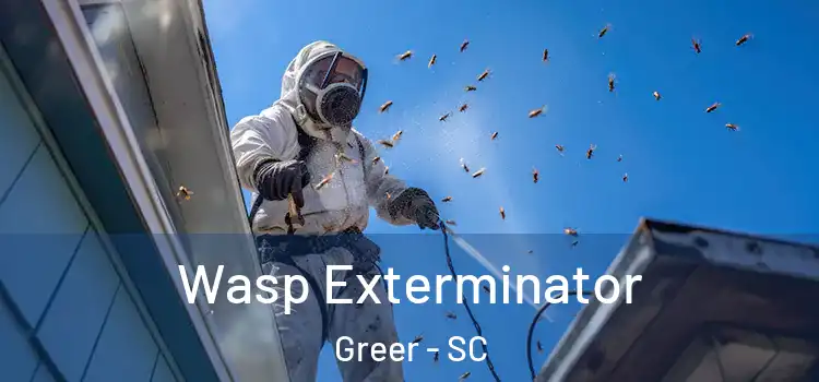  Wasp Exterminator Greer - SC