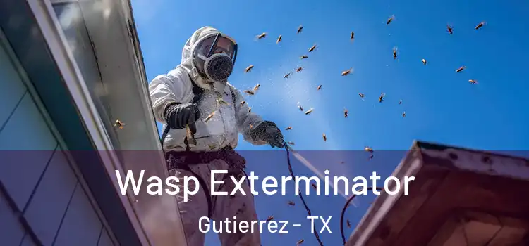 Wasp Exterminator Gutierrez - TX