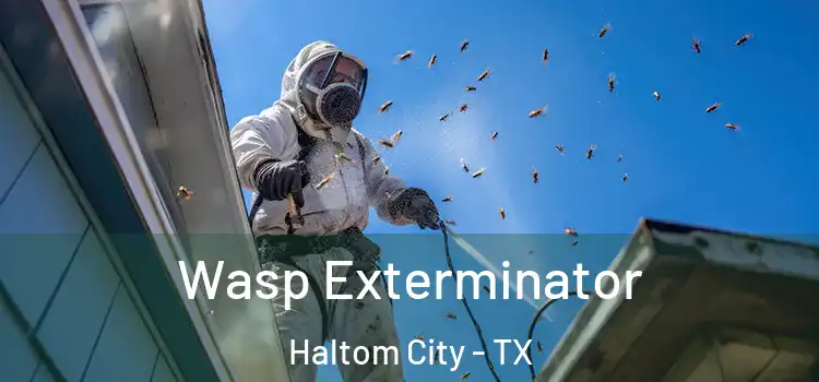  Wasp Exterminator Haltom City - TX