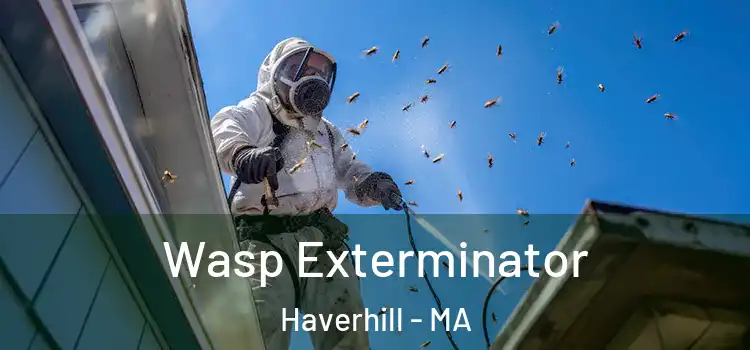  Wasp Exterminator Haverhill - MA