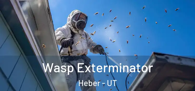 Wasp Exterminator Heber - UT