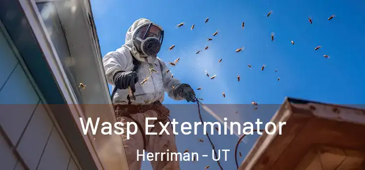  Wasp Exterminator Herriman - UT