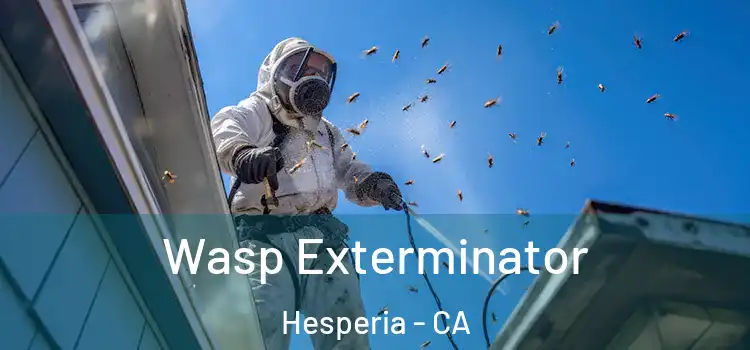  Wasp Exterminator Hesperia - CA