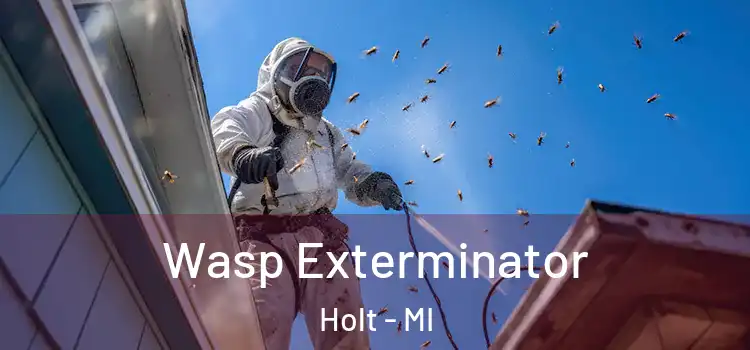  Wasp Exterminator Holt - MI