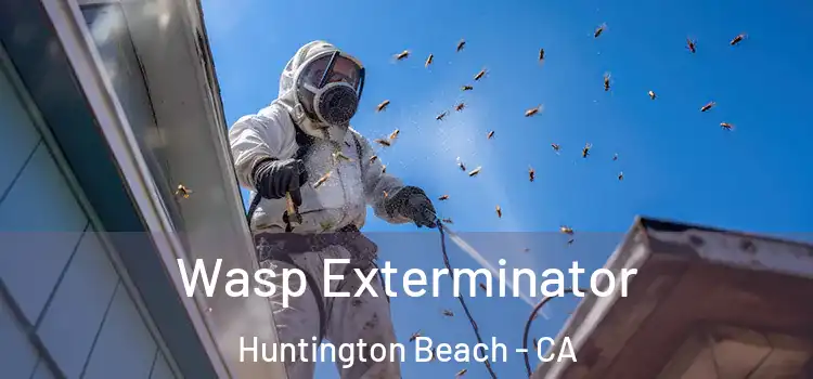  Wasp Exterminator Huntington Beach - CA