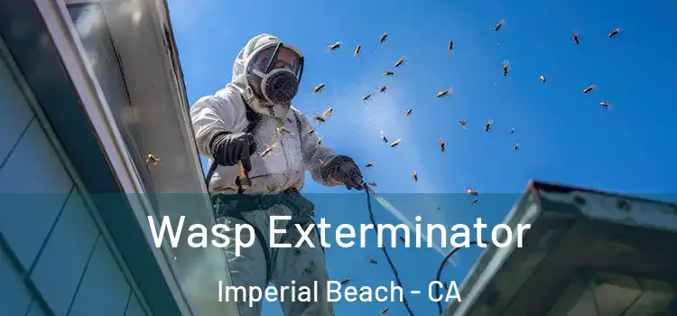  Wasp Exterminator Imperial Beach - CA