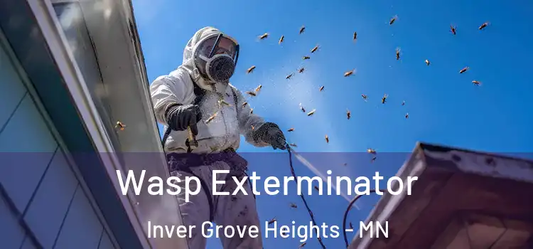  Wasp Exterminator Inver Grove Heights - MN
