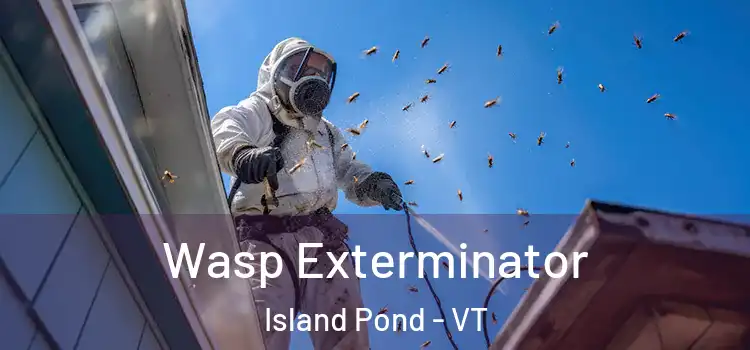  Wasp Exterminator Island Pond - VT