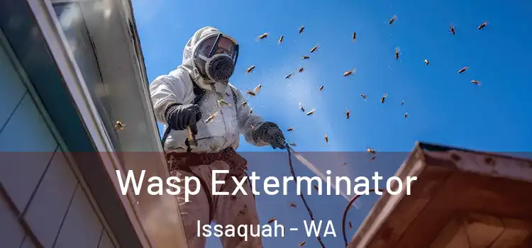  Wasp Exterminator Issaquah - WA