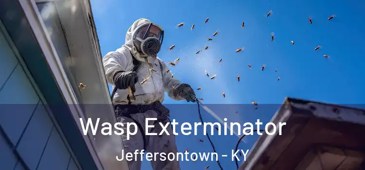 Wasp Exterminator Jeffersontown - KY