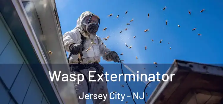 Wasp Exterminator Jersey City - NJ