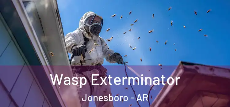  Wasp Exterminator Jonesboro - AR