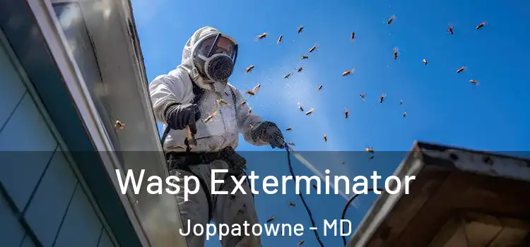  Wasp Exterminator Joppatowne - MD