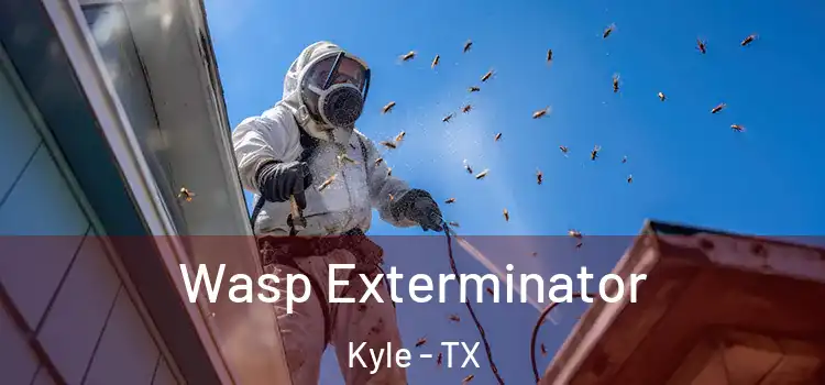  Wasp Exterminator Kyle - TX