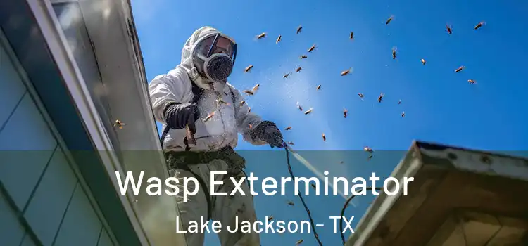 Wasp Exterminator Lake Jackson - TX