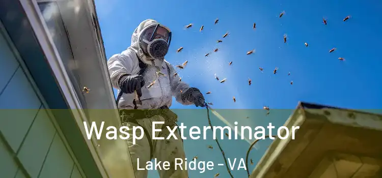  Wasp Exterminator Lake Ridge - VA