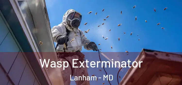  Wasp Exterminator Lanham - MD