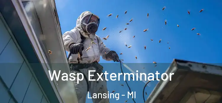  Wasp Exterminator Lansing - MI