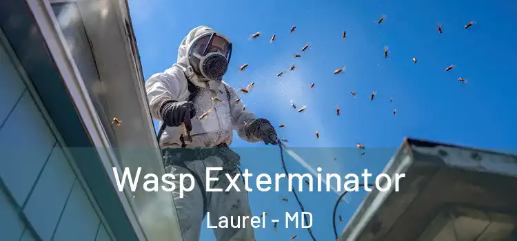  Wasp Exterminator Laurel - MD