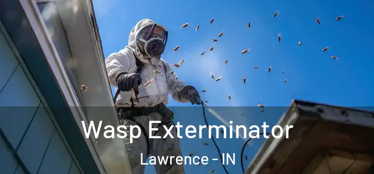  Wasp Exterminator Lawrence - IN