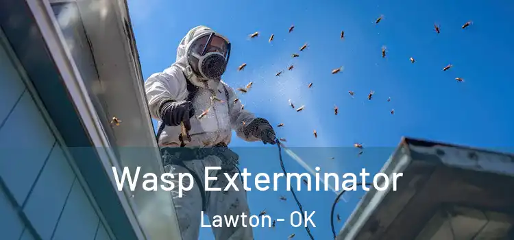 Wasp Exterminator Lawton - OK