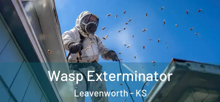  Wasp Exterminator Leavenworth - KS
