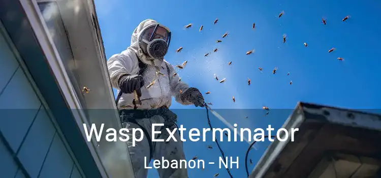  Wasp Exterminator Lebanon - NH