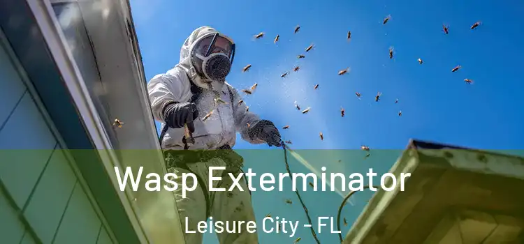  Wasp Exterminator Leisure City - FL
