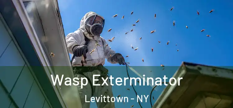  Wasp Exterminator Levittown - NY