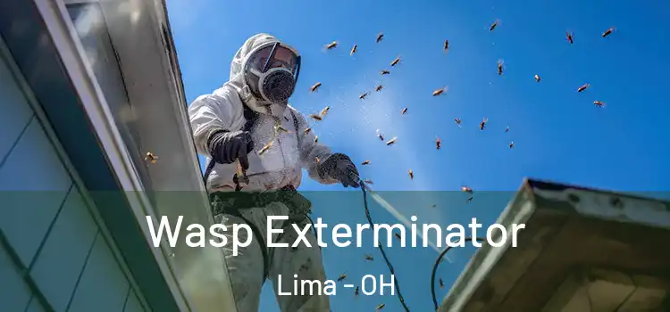  Wasp Exterminator Lima - OH