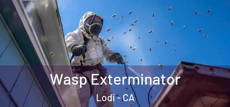  Wasp Exterminator Lodi - CA