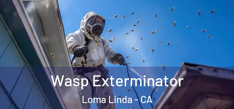  Wasp Exterminator Loma Linda - CA
